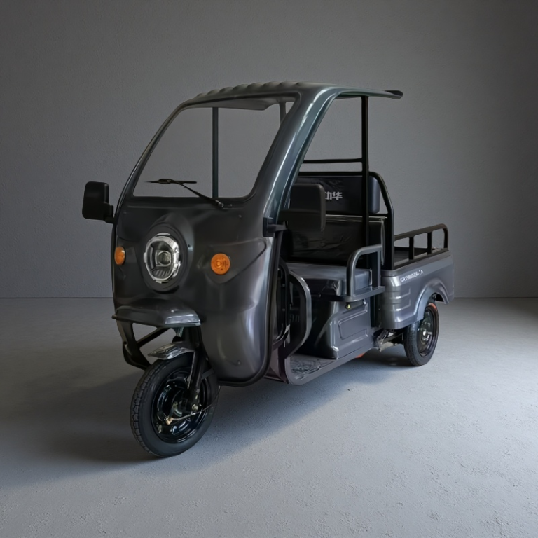 1.0M Transport Cargo Electric Tricycle Motorcycle with Roof